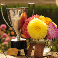 Picture Of Trophy And Flowers